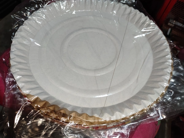 Disposable Paper Dish - 22 Pcs