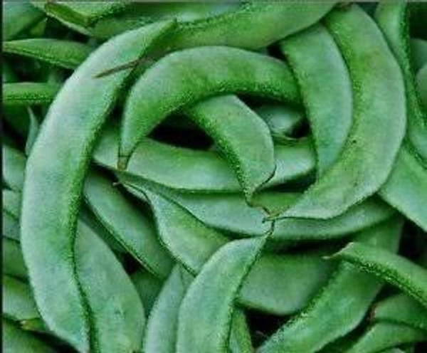 Lima Bean Green Sem Sim - 500g