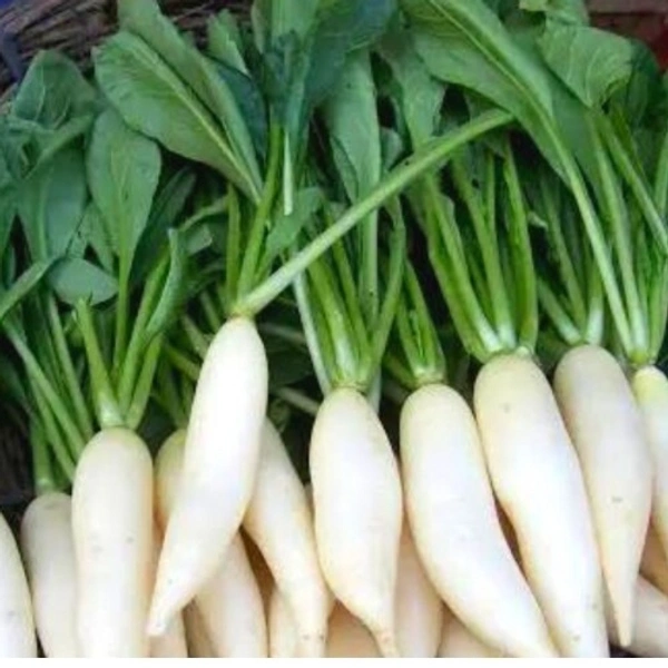 Radish (Muli) - 500
