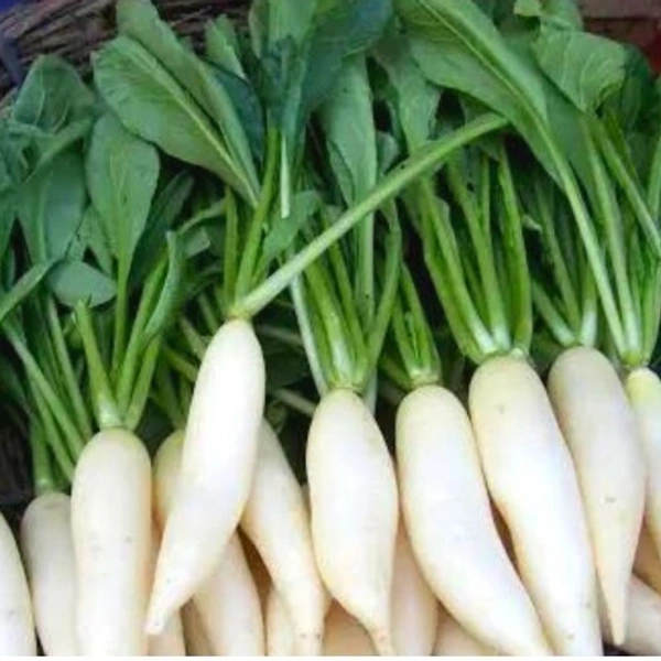Radish(Muli) - 500g