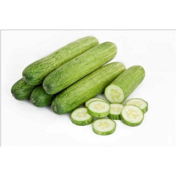 Green Cucumbers/ Khira/Sosa - 500g