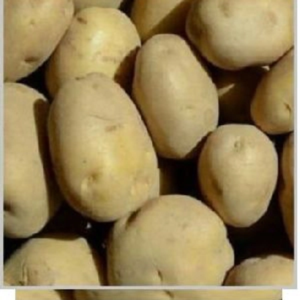 Chandramukhi Alu (Potato)  - 1kg