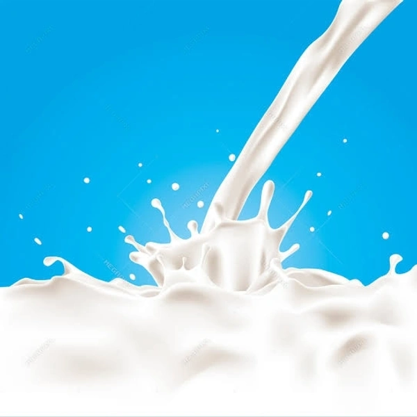 Dairy Products