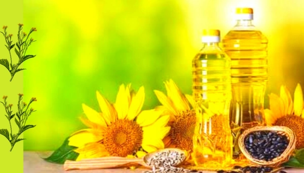 Oil & Ghee