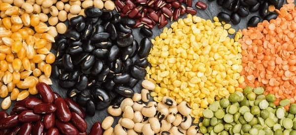 Dals & Pulses