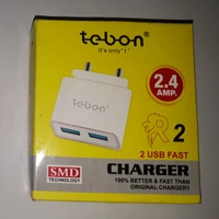 Tebon Charger 2.4 Amp - 1 2.4 Amp Dock & 2.4 Amp Data Cable, 6 months