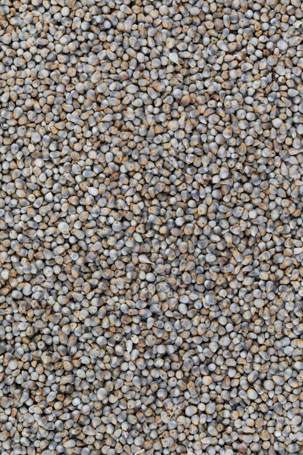 Gota Bajri 250g