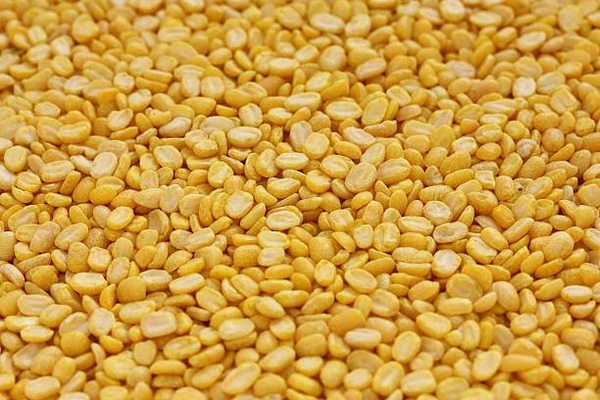 Premium Moong Dal 1 Kg (Unpolished)