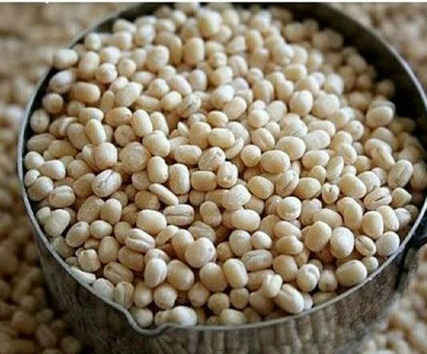 Premium Urad White Whole 500g