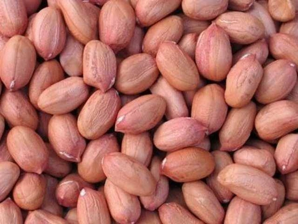 Peanuts Raw ( Moongfali ) 250g