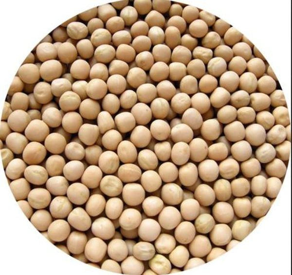 Premium White Matar 500g 