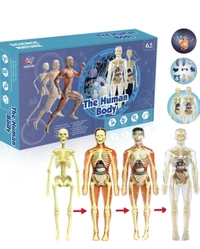 Highest selling currently🤞 Learn while playing How the human body works