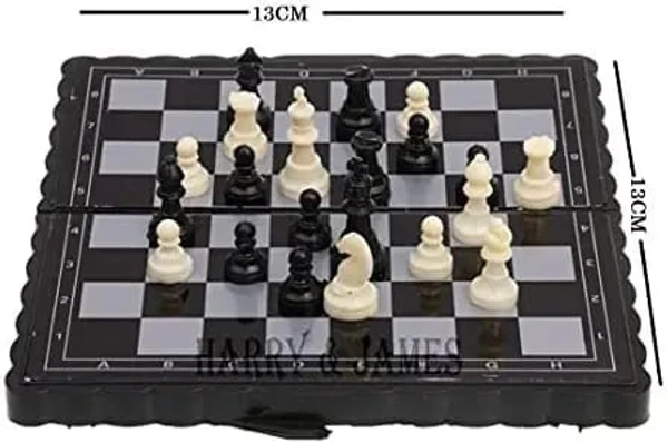 Homeoculture Magnetic chess game