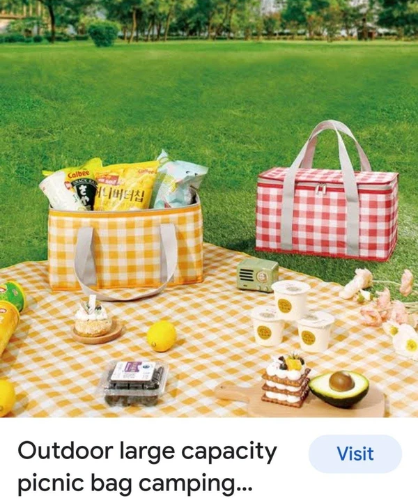 Multifunction insulated picnic bags 35x20x20 cms Color random only