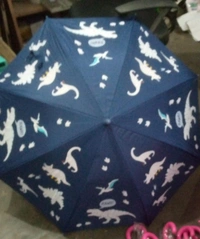 Color changing umbrella