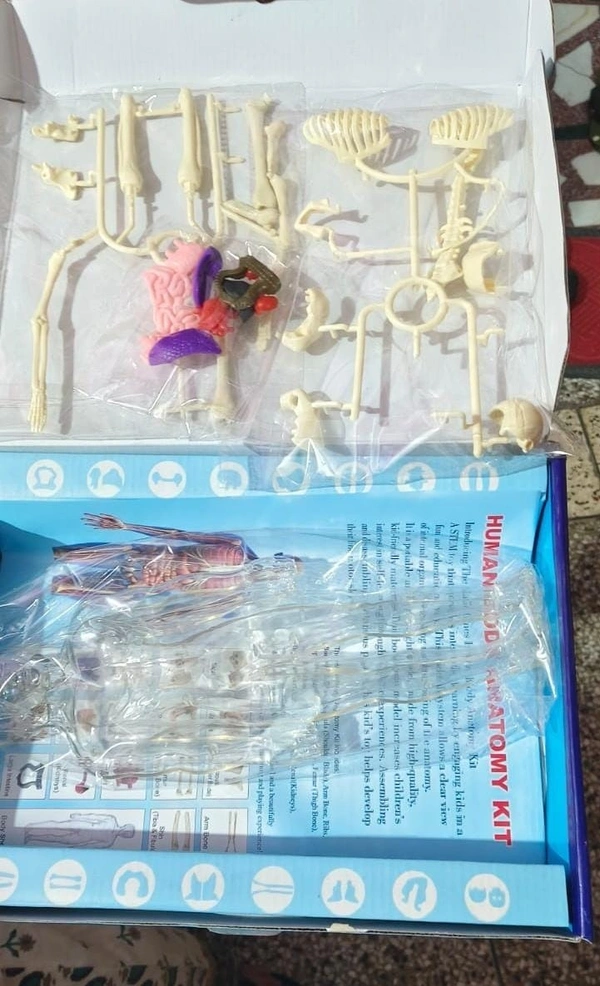 Highest selling currently🤞 Learn while playing How the human body works