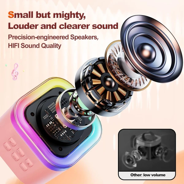 KARAOKE WITH WIRELESS MIC & SPEAKER Perfect for gifting