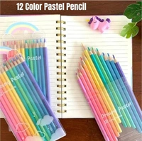 Pastel color pencil set of 12 