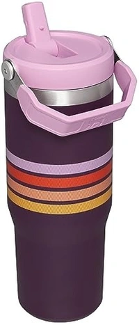 Stanley IceFlow Stainless Steel Tumbler - Vacuum Insulated Water Bottle for Home, Office or Car Reusable Cup with Straw Leak Resistant Flip Cold for 12 Hours or Iced for 2 Days, Plum Stripe, 30OZ - Revolver