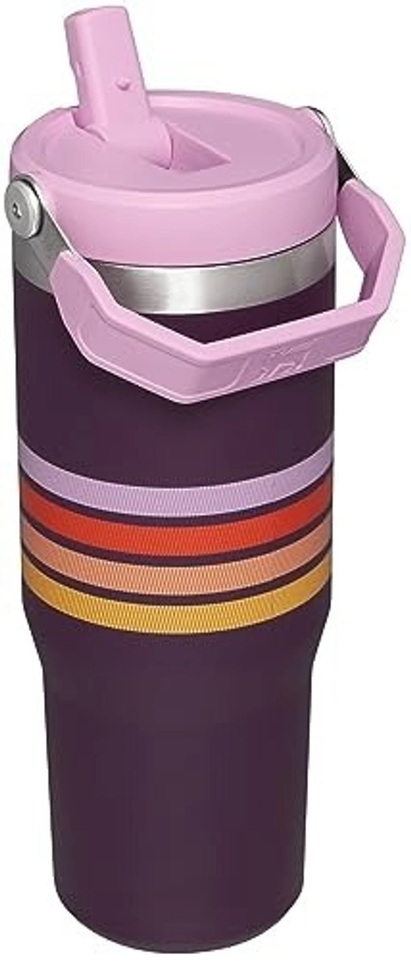 Stanley IceFlow Stainless Steel Tumbler - Vacuum Insulated Water Bottle for Home, Office or Car Reusable Cup with Straw Leak Resistant Flip Cold for 12 Hours or Iced for 2 Days, Plum Stripe, 30OZ - Revolver
