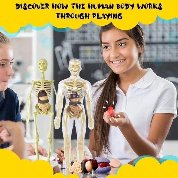 Highest selling currently🤞 Learn while playing How the human body works