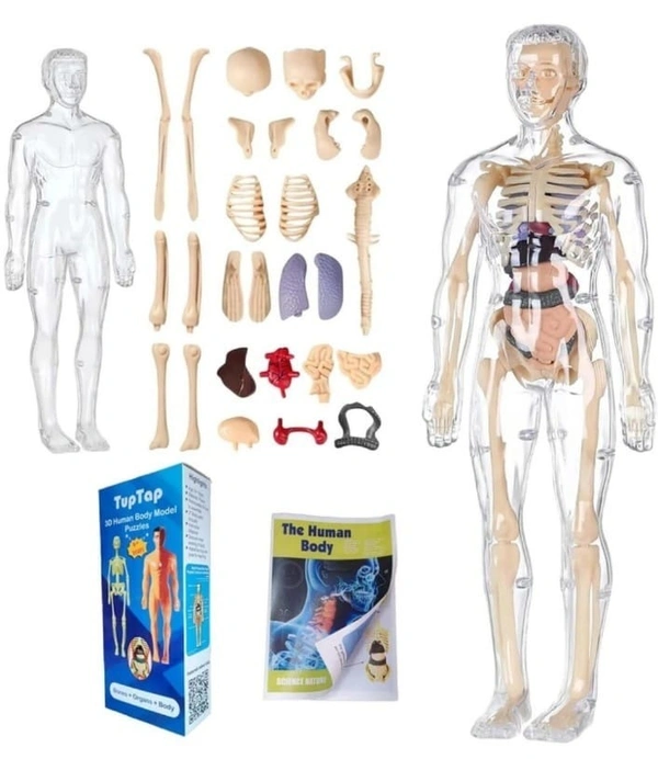 Highest selling currently🤞 Learn while playing How the human body works