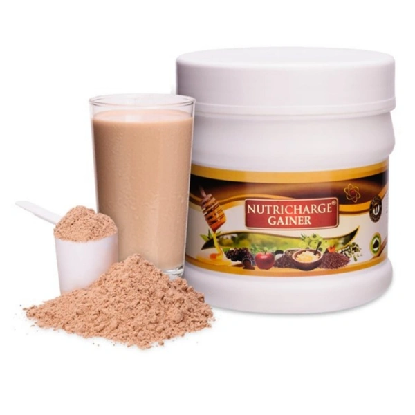 Nutricharge Gainer 