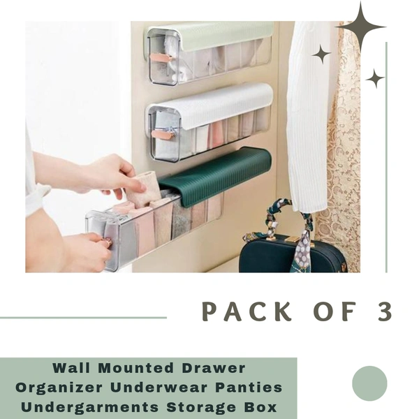 Multicolor Wall Mounted Self Adhesive Drawer Organiser For Undergarments (Pack Of 3) - PACK OF 3