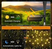 Firefly Solar Waterproof LED Lights 