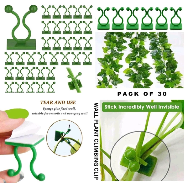 MULTIPURPOSE WALL PLANT CLIMBING CLIP (PACK OF 30) - PACK OF 30, Pine Green