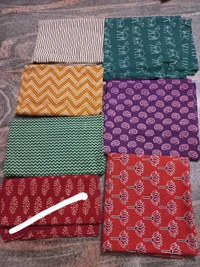 1191/ajrakh Kurti - Large
