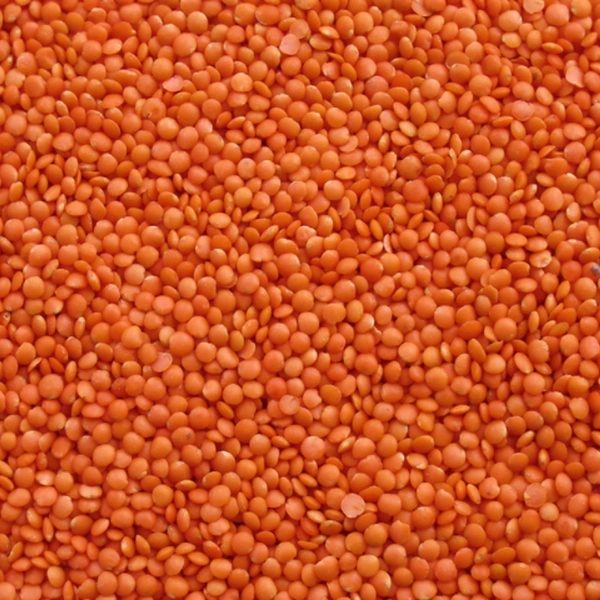 Masoor Dal Loose - 500g