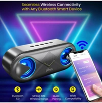 PTRON FUSION WIRELESS PORTABLE BLUETOOTH SPEAKER - black