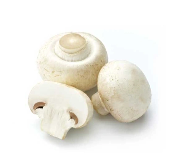 Mushroom 1 Pkt (Aprprox. 200 Gm)