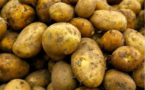 Potato (Aloo) : 1 Kg
