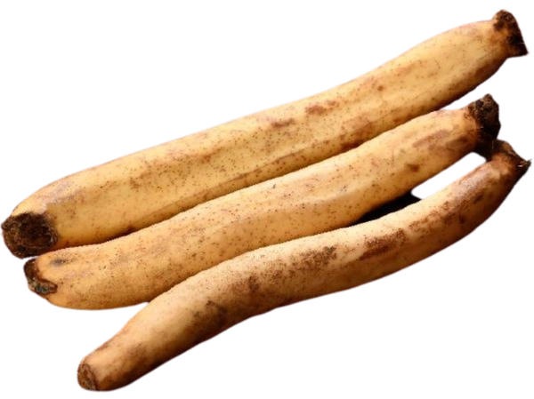 Lotus Stem-Kamal kakdi : 250g