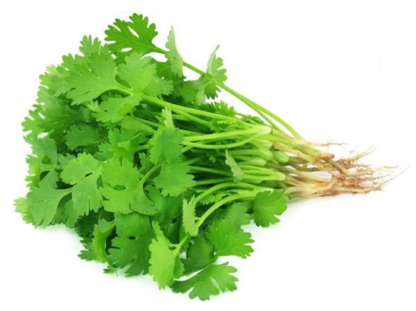 Coriander (Dhaniya)-100g