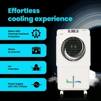Voltas 36 L Room/Personal Air Cooler (Grey & White, Delite 36)