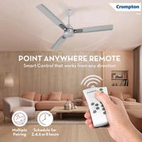 Crompton Caelum with 4 Year Warranty BLDC with Remote and Regulator 1200 mm Ceiling Fan (5 Star | Metallic Grey | Pack of 1)