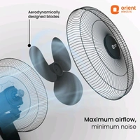 Orient Electric Wall 91 with 2 Year Warranty 400 mm Wall Fan (Black | Pack of 1)