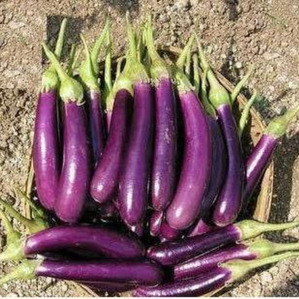 बेगन - 1 kg