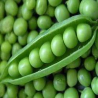 हरी मटर - 1 kg