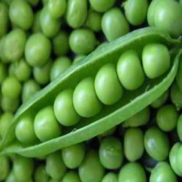 हरी मटर - 1 kg