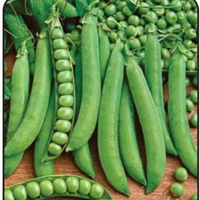 हरी मटर - 1 kg