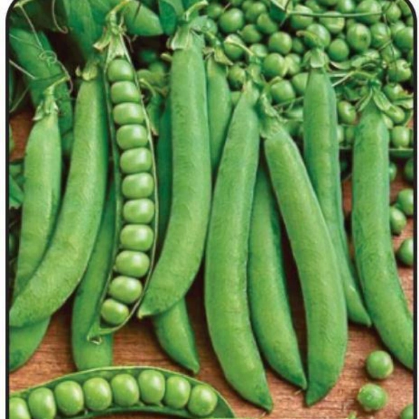 हरी मटर - 1 kg