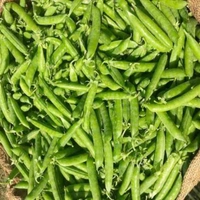 हरी मटर - 1 kg