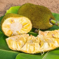 कटहल - 1 kg