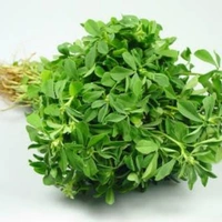 हरी मैथी - 1 kg