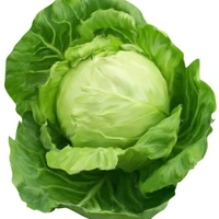 पत्ता गोभि - 1 kg