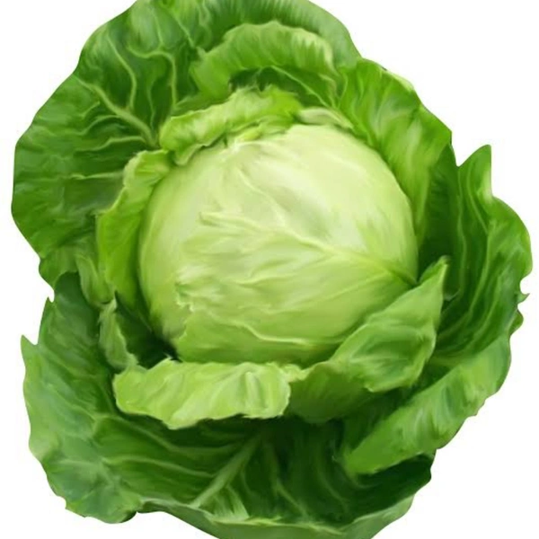 पत्ता गोभि - 1 kg